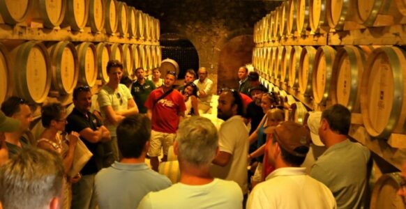 Wine experience spain